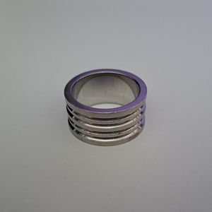 Aldo Silver Ring